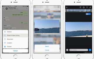 Как отправить live фото с iphone whatsapp
