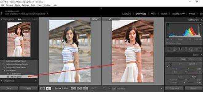 Как пользоваться пресетами в lightroom на айфоне