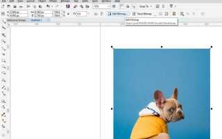 Как в coreldraw удалить текст