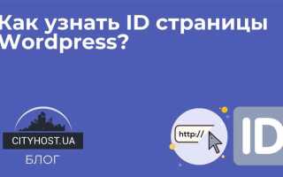 Как посмотреть id рубрики в wordpress