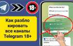 Как просматривать каналы в telegram которые недоступны