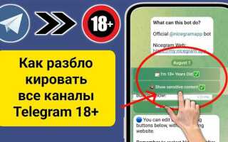 Как просматривать каналы в telegram которые недоступны