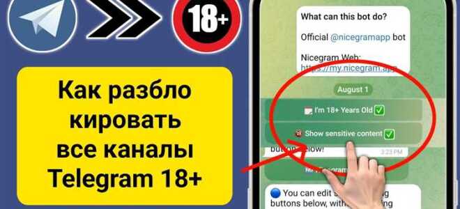 Как просматривать каналы в telegram которые недоступны