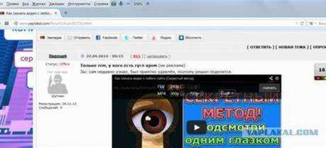 Как скачать видео с wordpress