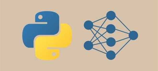Как писать нейронные сети на python