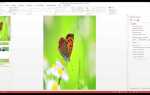 Как скачать фон слайда из powerpoint