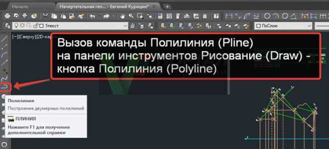 Как продолжить полилинию в автокаде