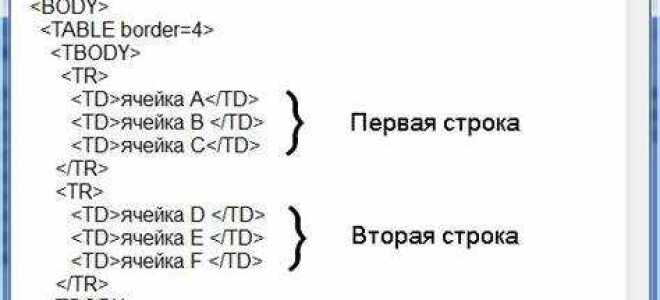 Как растянуть таблицу на всю страницу html