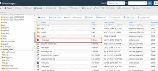 Где находится htaccess wordpress