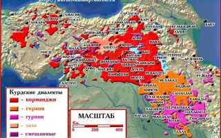 Кто такие заза в турции