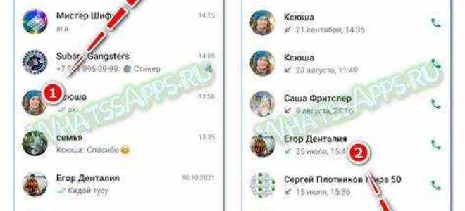 Как сделать групповой звонок в whatsapp с компьютера