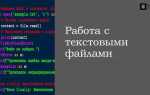 Как считать текстовый файл в python