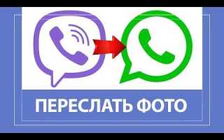 Как из viber переслать в whatsapp видео