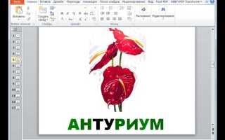 Как открыть презентация microsoft powerpoint pptx