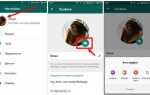 Как использовать whatsapp на телефоне и планшете