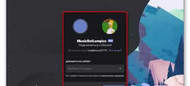 Как сделать музыкального бота в discord python