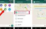 Как узнать геопозицию абонента через whatsapp