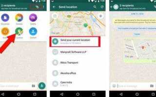 Как узнать геопозицию абонента через whatsapp
