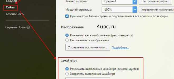 Как включить javascript в вашем браузере
