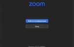 Какой zoom выбрать для онлайн обучения