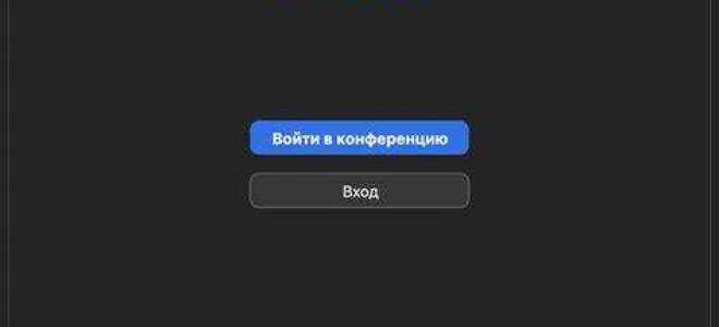 Какой zoom выбрать для онлайн обучения