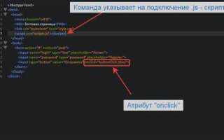 Как привязать javascript к кнопке html