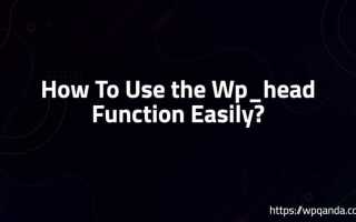 Где находится head в wordpress