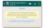 Что такое экспорт чата в whatsapp