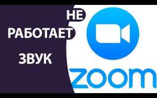 Почему не работает zoom сегодня