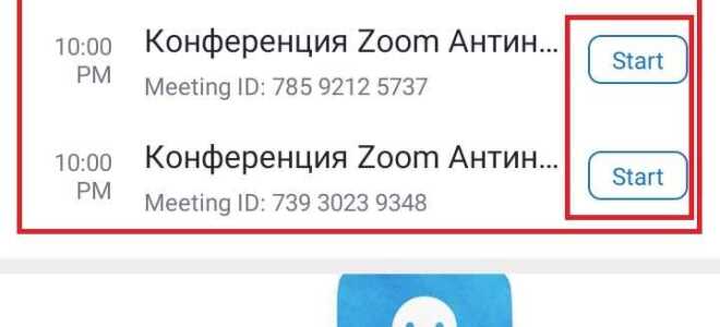 Как автоматически подключаться к конференции в zoom