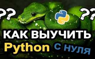 Как эффективно учить python