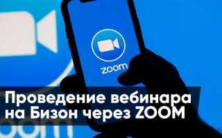 Как провести вебинар в zoom