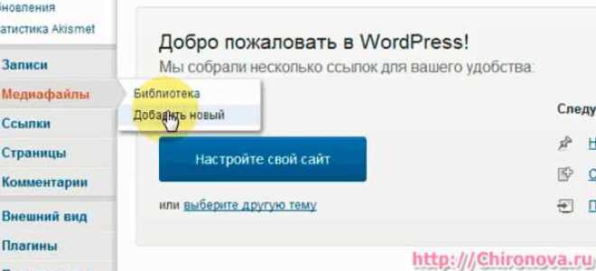 Как вставить ссылку на pdf файл в html