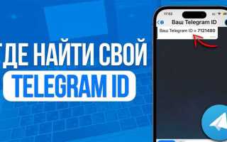 Как получить id пользователя telegram python