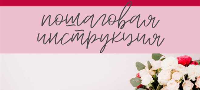 Как сделать блог на wordpress