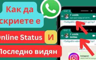 Как смотреть статусы в whatsapp скрытно