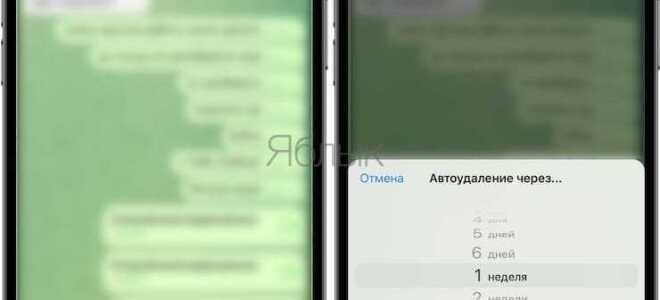 Как отправлять самоудаляющиеся фото telegram