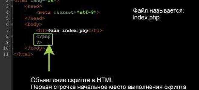 Как вставить ссылку в php код