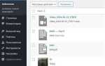 Где хранятся изображения wordpress