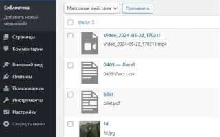 Где хранятся изображения wordpress