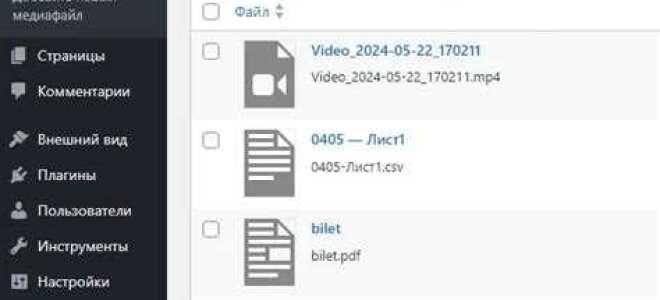 Где хранятся изображения wordpress