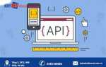 Как передать ключ api python