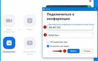 Как запустить zoom в браузере