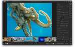 Как установить lightroom на mac m1