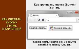 Как задать действие для кнопки в html