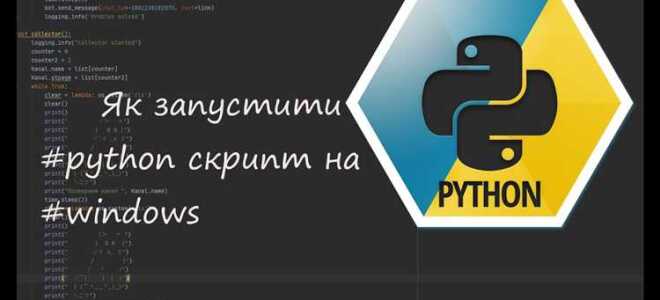 Как запустить скрипт python на хостинге