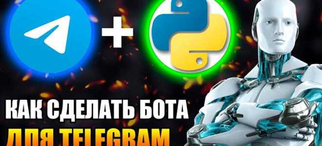 Как создать telegram бота на python