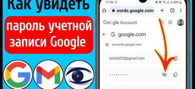 Как узнать пароль от icq