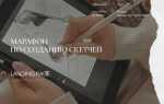 Какие способы размещения картинок на tilda существуют