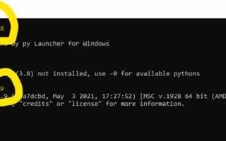 Как обновить пакет python